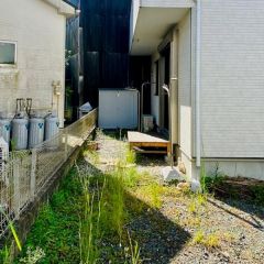 建物南側に陽当たり良好なお庭があります。