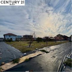 コチラは現地の北東角側から見た外観です。