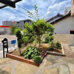 建物南側に陽当たり良好なお庭があります。