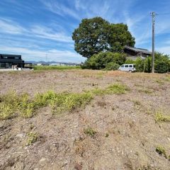 コチラは現地の南西角側から見た外観です。