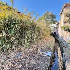 現地北側の水路です。
