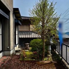 玄関横にちょっとしたお庭があります。