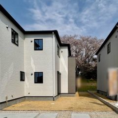 建物南側に陽当たり良好なお庭があります。