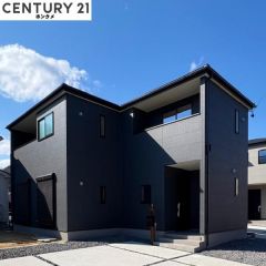 足場が外れました。もう少しで見学可能。