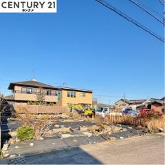 コチラは現地の南西角側から見た外観です。