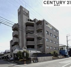 コチラは別アングルから見た写真です。