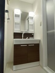 洗面台はシャンプードレッサー仕様です。