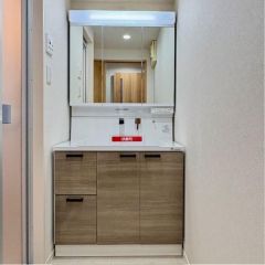 洗面台はシャンプードレッサー仕様です。