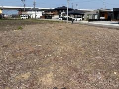 コチラは現地の南東角側から見た外観です。