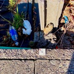 現地東前面に境界プレートがあります。