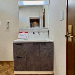 洗面台はシャンプードレッサー仕様です。