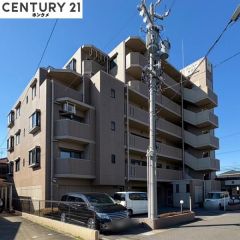 コチラは別アングルから見た写真です。