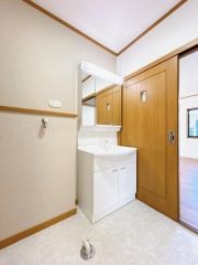 洗面台はシャンプードレッサー仕様です。