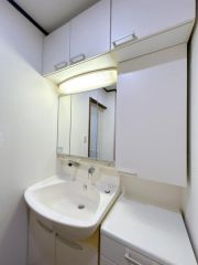 洗面台はシャンプードレッサー仕様です。