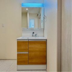 洗面台はシャンプードレッサー仕様です。