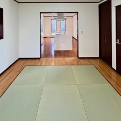 コチラは別アングルからの写真になります。