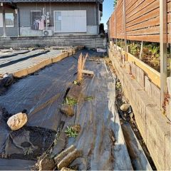 現況は北側に少し高低差があります。