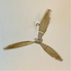 リビング天井にシーリングファン付です。