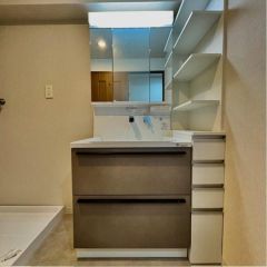 洗面台はシャンプードレッサー仕様です。