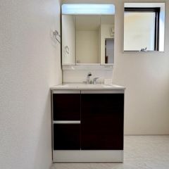 洗面台はシャンプードレッサー仕様です。